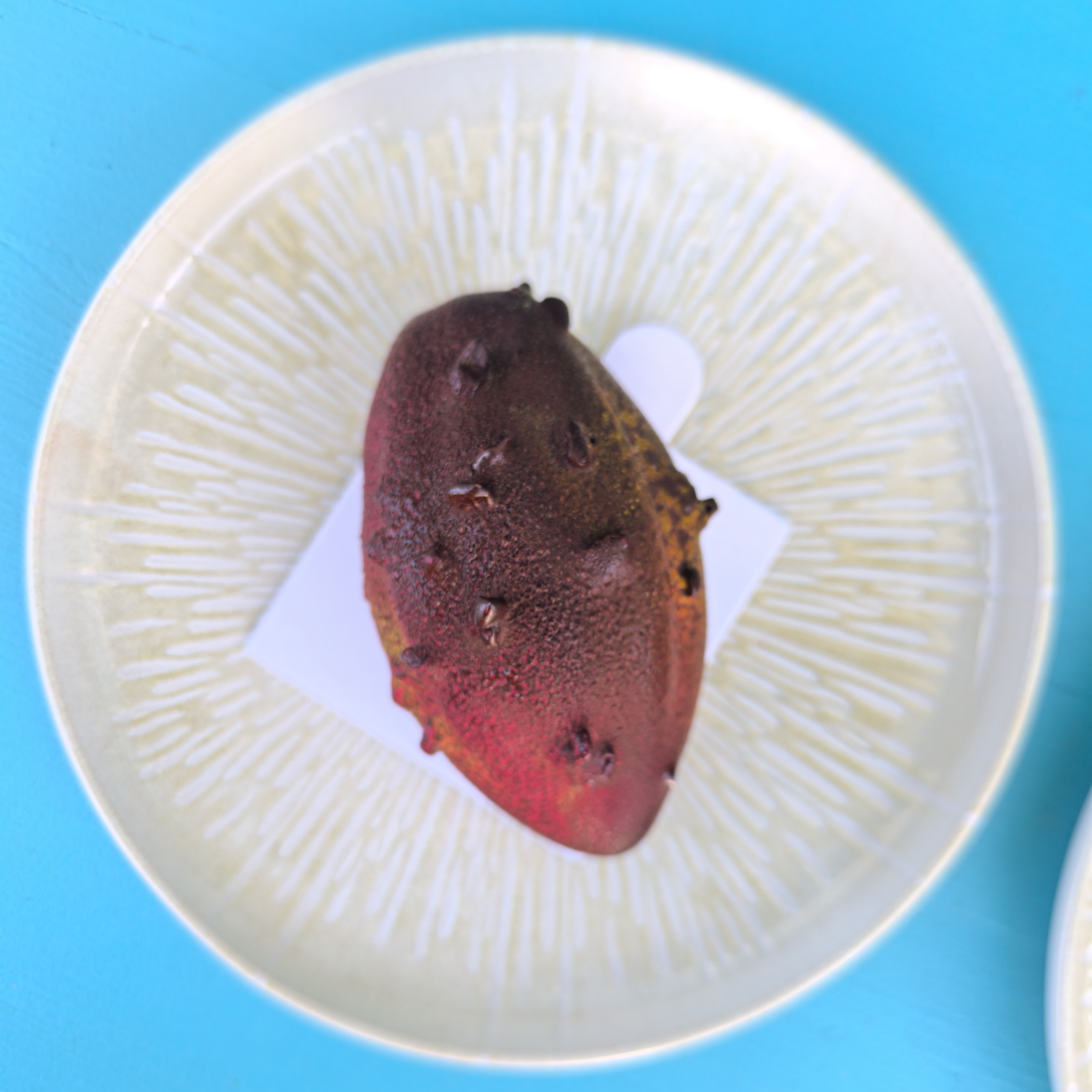 Fruit de Cacao